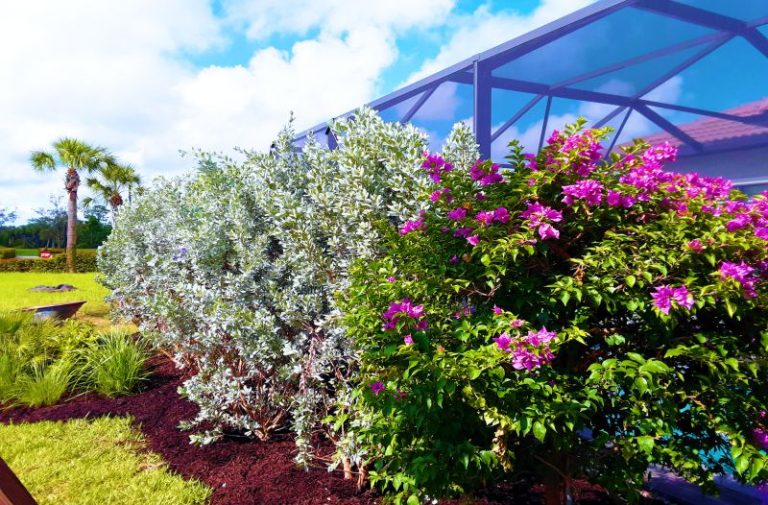 Greyhawk Pool and Lanai Privacy Screening