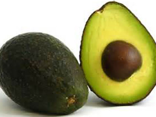 Hass Avocado