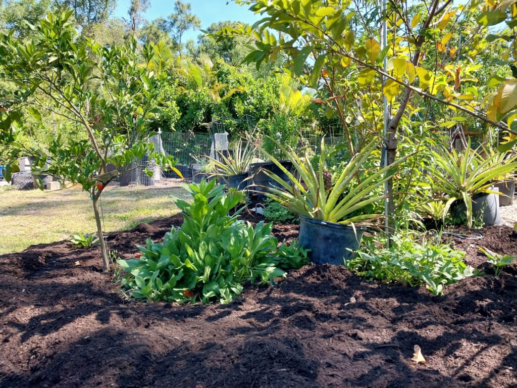 Compost for Permaculture