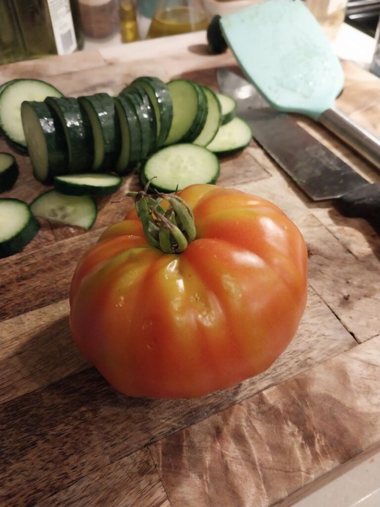 Heirloom Florida Ugly Tomato