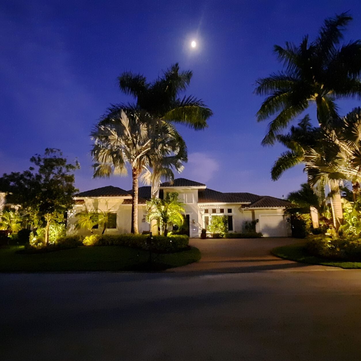 Naples Landscape Lighting