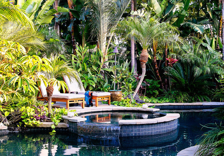 tropical privacy screening for pools